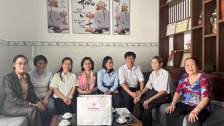Nhiệt điện phú mỹ - Ảnh 2.