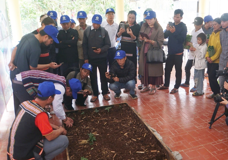 Tặng hơn 7.000 cây sâm Ngọc Linh giống cho hộ nghèo ở Đà Nẵng - Ảnh 4.