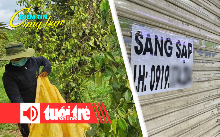 Giá tiêu duy trì đà tăng, doanh nghiệp kỳ vọng giá sẽ còn tốt - Ảnh 2.