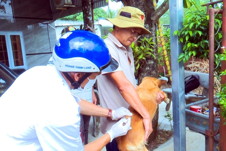 bệnh dại - Ảnh 1.