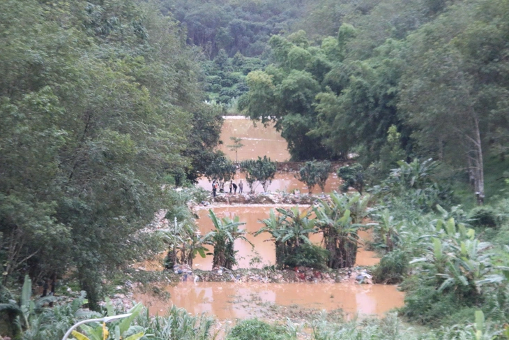 rác - Ảnh 4.