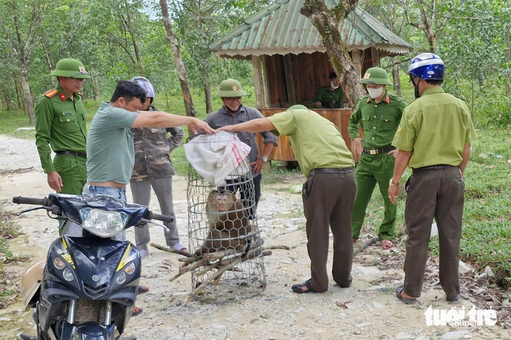 khỉ tấn công người - Ảnh 2.