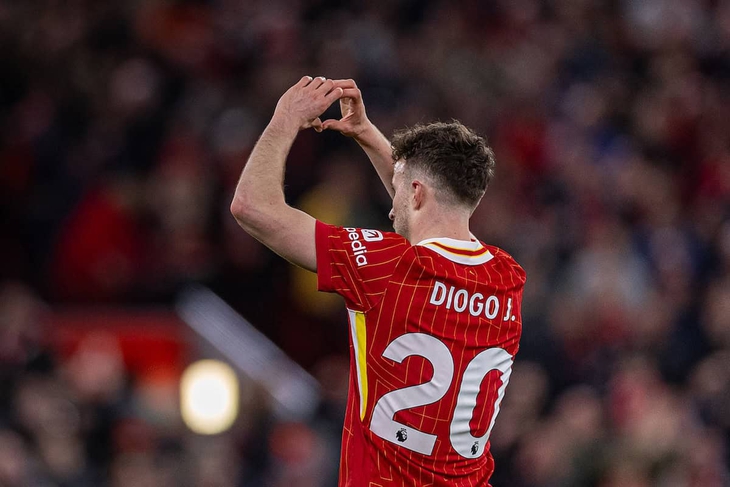 Diogo Jota - Ảnh 1.