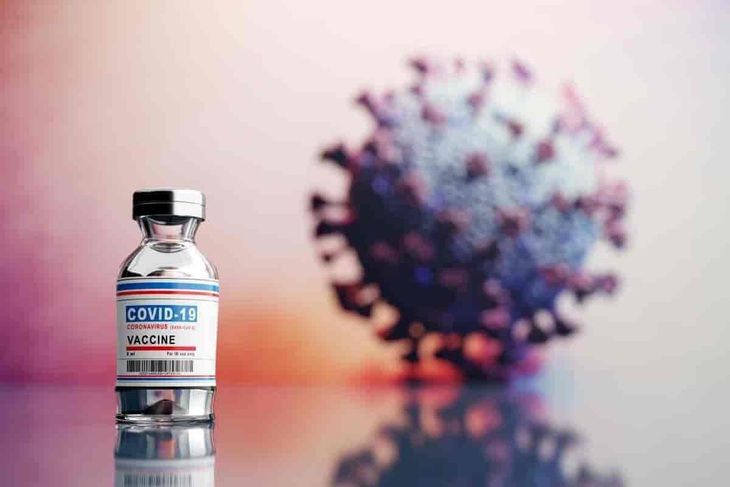 COVID-19 - Ảnh 1.