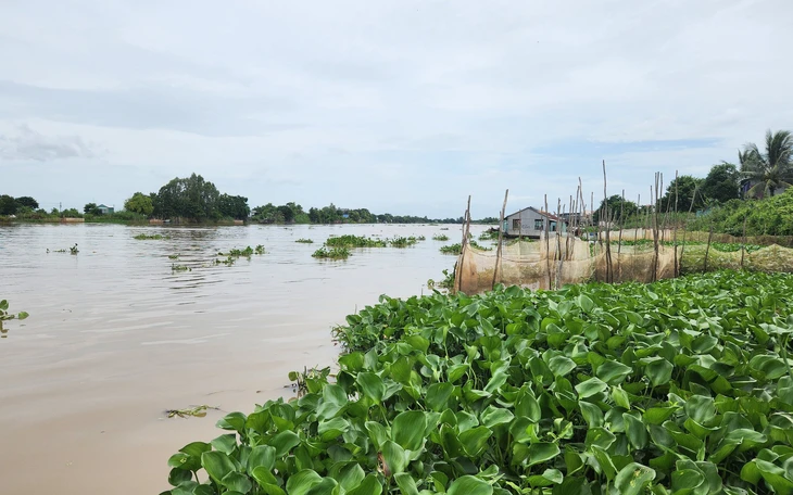 Đảng Thái Lan cảnh báo sông Mekong ô nhiễm arsen nặng - Ảnh 2.