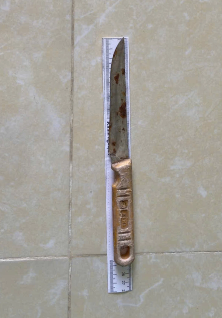bắt khẩn cấp - Ảnh 2.