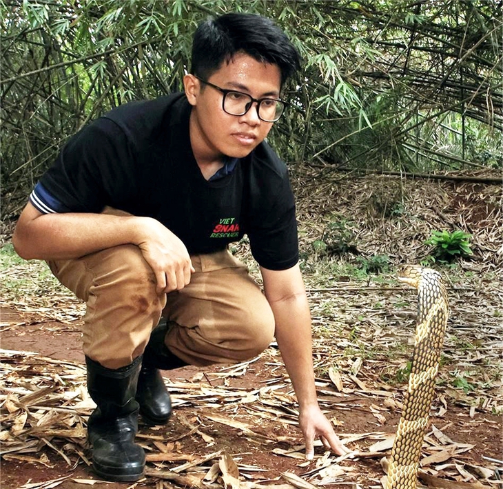 giải cứu rắn - Ảnh 1.