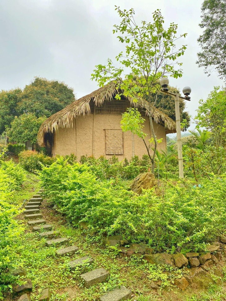 Làng Háo Hức - Ảnh 3.