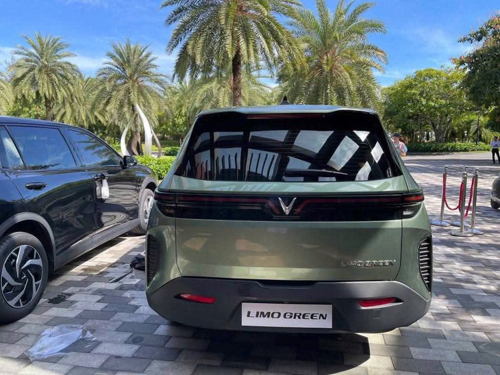 VinFast Limo Green - Ảnh 10.