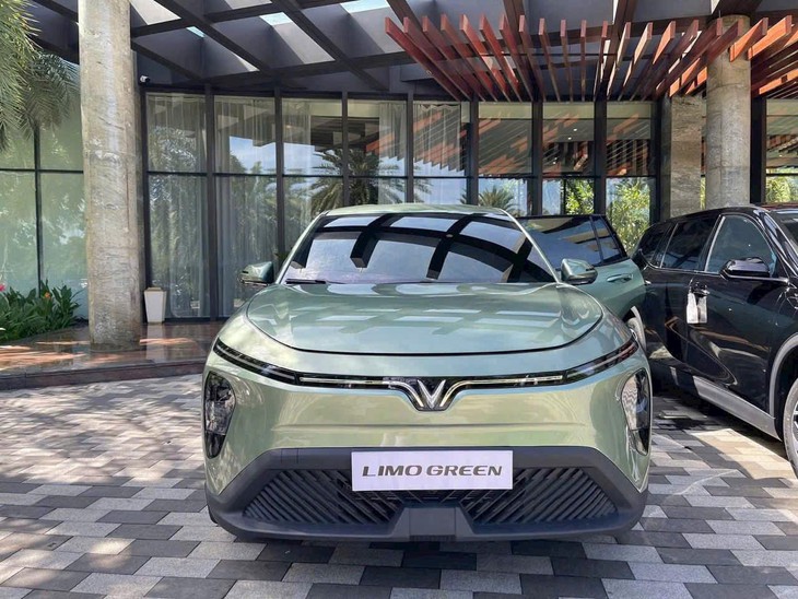 VinFast Limo Green - Ảnh 8.