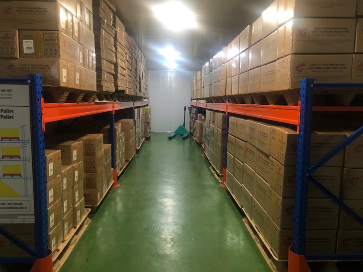 Pallet - Ảnh 1.