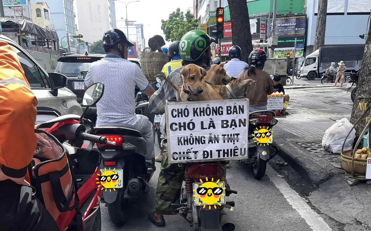 Diễn viên phim 18+ thành giảng viên đại học - Ảnh 4.