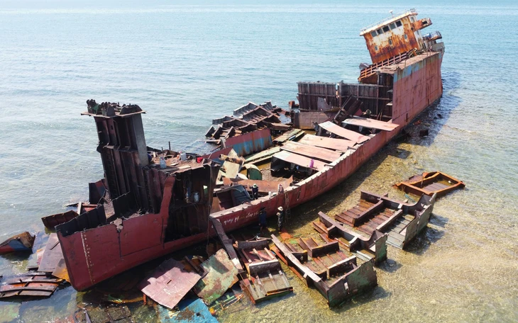 Ông Trần Lưu Quang: Phát triển điện hạt nhân là chiến lược lâu dài, địa phương phải sẵn sàng- Ảnh 4.