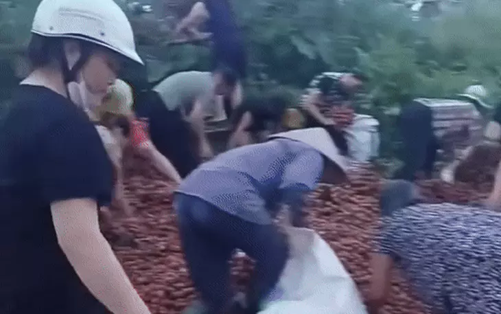 Giao công an xác minh vụ nữ tài xế lái xe tải bị lật, 'người dân nhặt gần hết 4 tấn vải' - Ảnh 3.