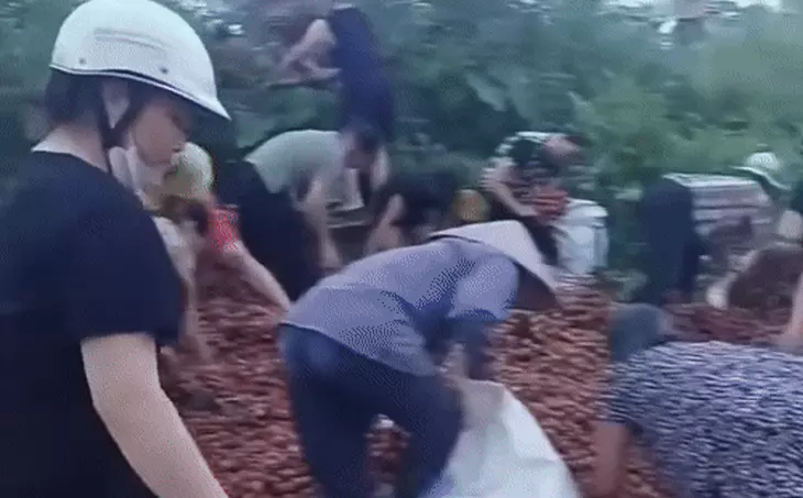 quả vải - Ảnh 1.