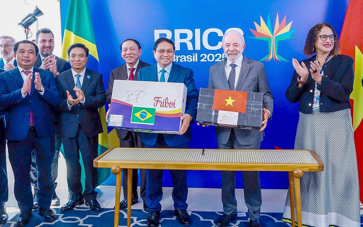 Thúc đẩy kết thúc đàm phán FTA với Khối thị trường chung Nam Mỹ trong năm 2025 - Ảnh 2.