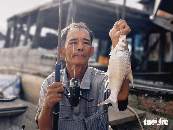 cá cóc - Ảnh 3.