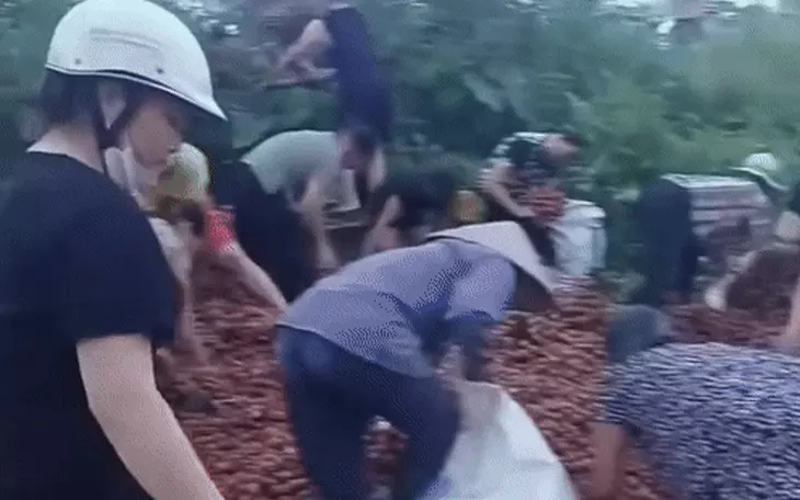 Tài xế lái xe tải 'leo' qua dải phân cách giữa để sang đường - Ảnh 3.