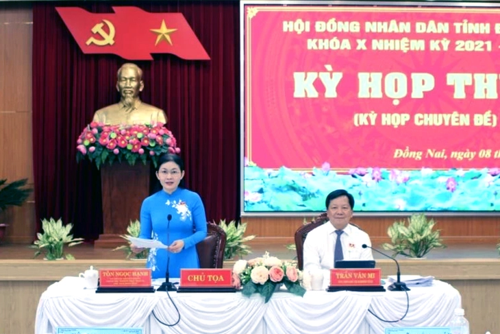 Đồng Nai thu hồi 24 ha đất để làm đường dẫn nhiên liệu sân bay Long Thành - Ảnh 1.
