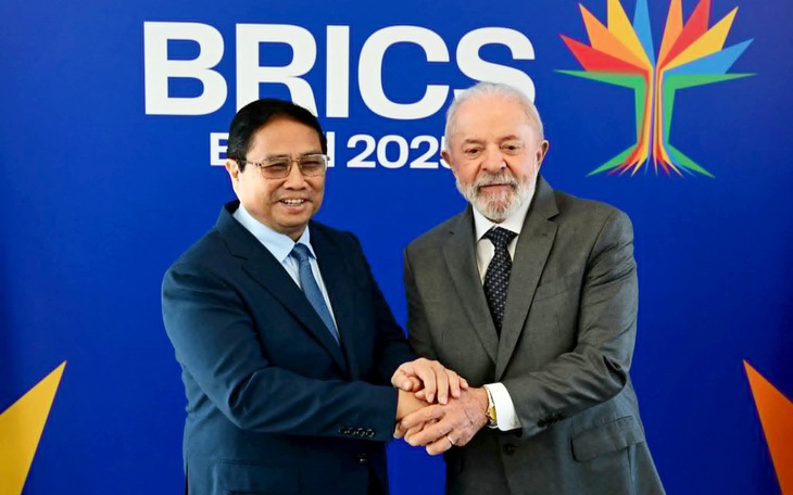 5 đề xuất của Thủ tướng về môi trường, khí hậu và y tế tại thượng đỉnh BRICS - Ảnh 3.
