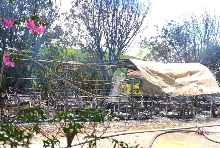 xe điện - Ảnh 3.