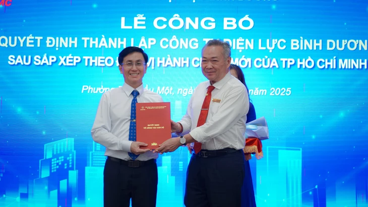 TP.HCM thành lập 9 công ty điện lực mới sau sáp nhập, người dân nắm bắt để tránh nạn lừa đảo - Ảnh 1.
