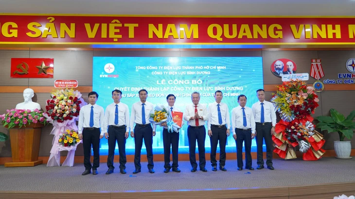 công ty điện lực  - Ảnh 3.
