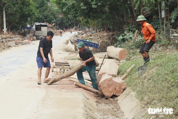 gỗ - Ảnh 6.