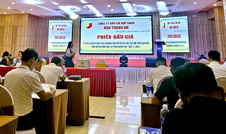 Đấu giá mỏ đá vôi, khởi điểm 28,5 tỉ, giá trúng gần 500 tỉ có bình thường? - Ảnh 1.