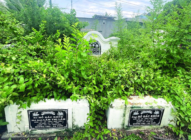 mắm  - Ảnh 3.