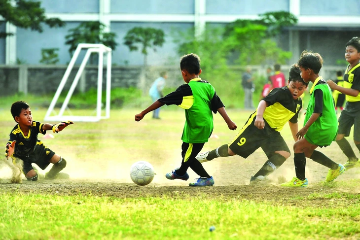 Bóng đá Indonesia - Ảnh 1.