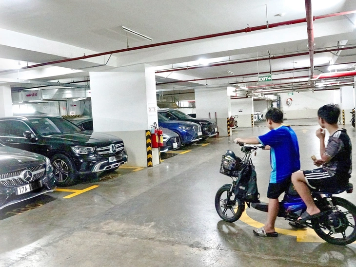 xe điện - Ảnh 1.
