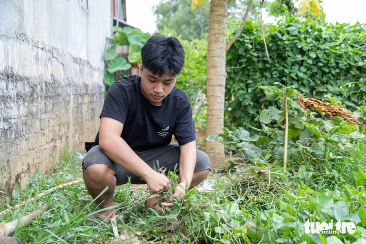 Tiếp sức đến trường - Ảnh 2.