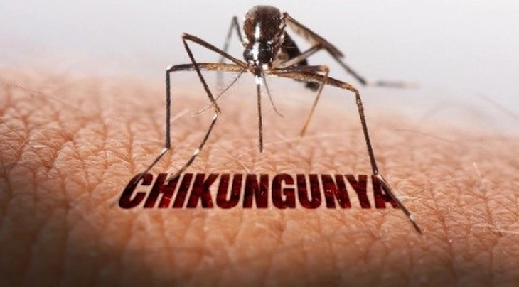 TP.HCM chưa phát hiện ca bệnh Chikungunya, tích cực giám sát và dự phòng- Ảnh 1. TP.HCM chưa phát hiện ca bệnh Chikungunya, tích cực giám sát và dự phòng - Ảnh 1.