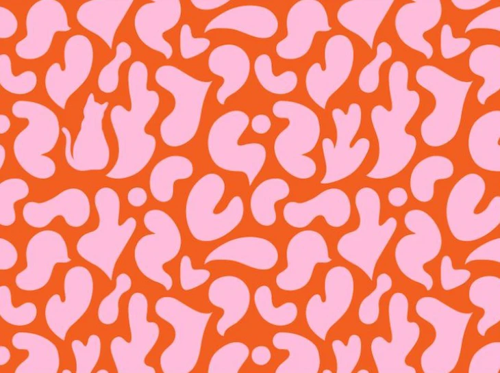 con rắn - Ảnh 3.