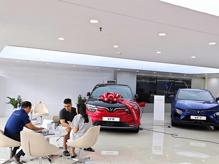Góp ý chính sách hỗ trợ đổi xe điện: Vingroup rót mạnh ưu đãi, Bolt xin nới luật- Ảnh 1. xe điện - Ảnh 1.
