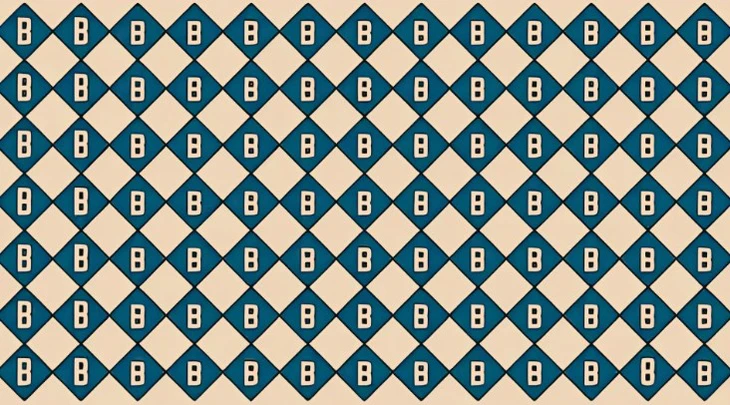 con vẹt - Ảnh 3.