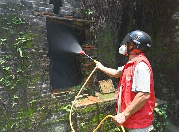 Việt Nam ứng phó với nguy cơ bệnh Chikungunya - Ảnh 1. Chikungunya - Ảnh 1.