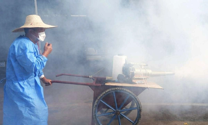 Việt Nam ứng phó với nguy cơ bệnh Chikungunya - Ảnh 2. Việt Nam ứng phó với nguy cơ bệnh Chikungunya - Ảnh 2.