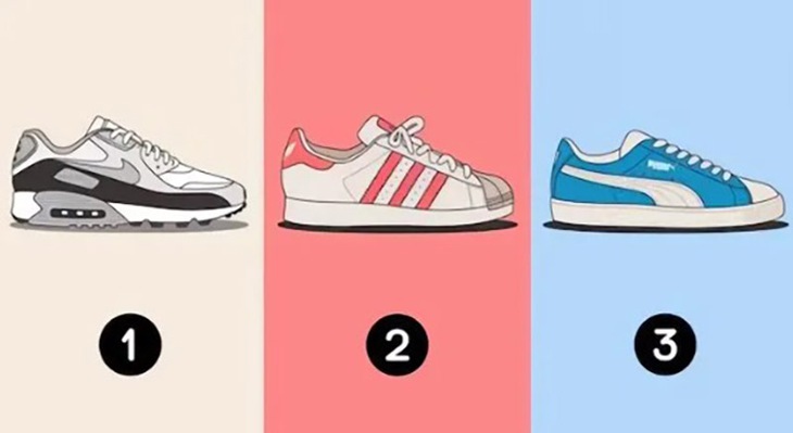 quiz - Ảnh 1.
