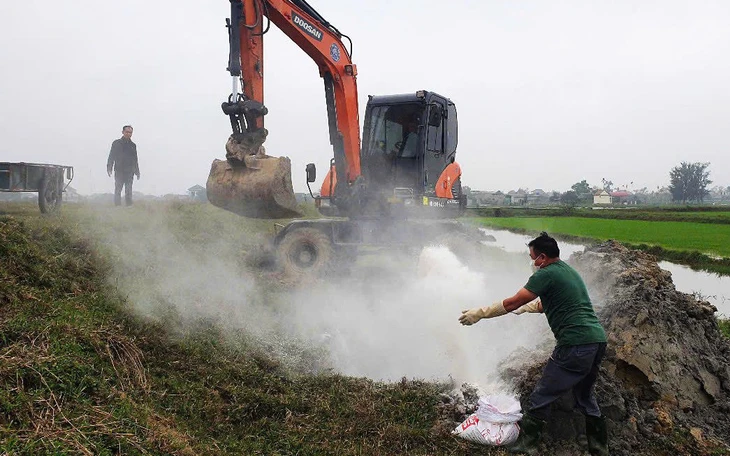 Tiểu thương 'nín thở' sống chung với dịch tả heo châu Phi - Ảnh 2.