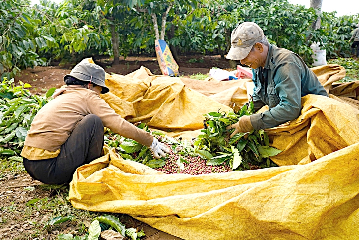 Xuất khẩu nông, thủy sản thắng lớn - Ảnh 3. Xuất khẩu nông, thủy sản thắng lớn - Ảnh 3.