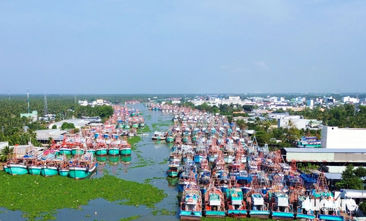 Vi phạm IUU - Ảnh 3.