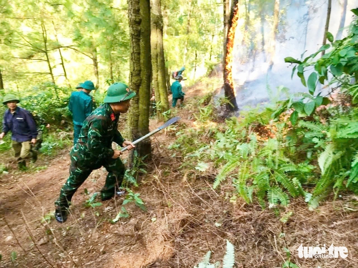 Hàng trăm người đang chữa cháy rừng ở Nghệ An do sét đánh - Ảnh 4.