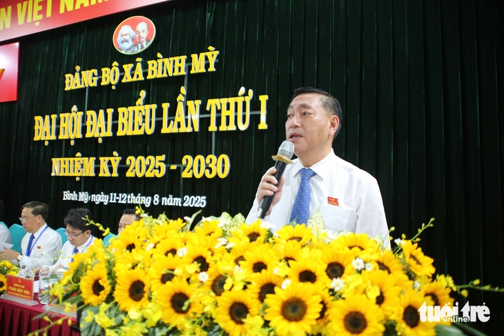 Bình Mỹ - Ảnh 2.