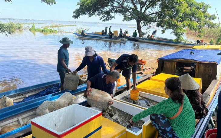 Trải nghiệm mùa nước nổi Đồng Tháp: Ra đồng đổ dớn, hái bông điên điển, ngắm đồng sen   - Ảnh 11.
