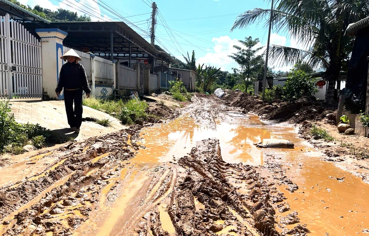 Bạt đồi trồng sầu riêng, đất đá theo nước mưa tràn vào nhà dân- Ảnh 2. Bạt đồi trồng sầu riêng, đất đá theo nước mưa tràn vào nhà dân- Ảnh 2.