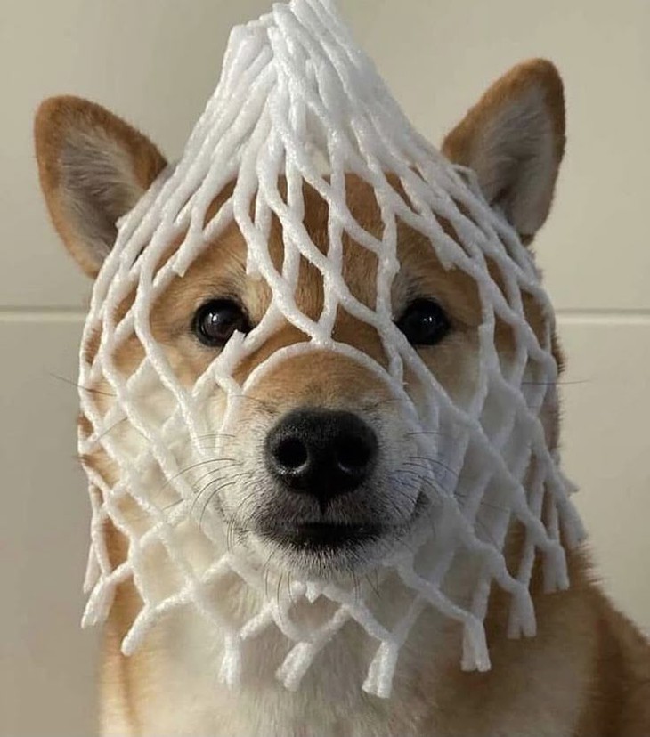 thẩm mỹ - Ảnh 3.