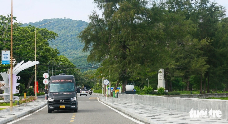 Khẩn trương nghiên cứu kinh nghiệm quốc tế, áp dụng chuyển đổi xanh ở Cần Giờ, Côn Đảo- Ảnh 2.