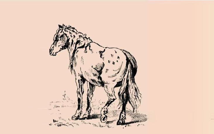 Thử tài tinh mắt: Bạn thấy bao nhiêu con vật ẩn giấu trong hình? - Ảnh 7.